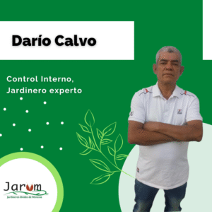 Dario