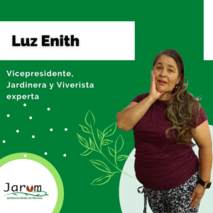 Luz