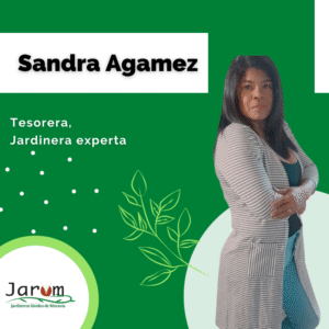 Sandra